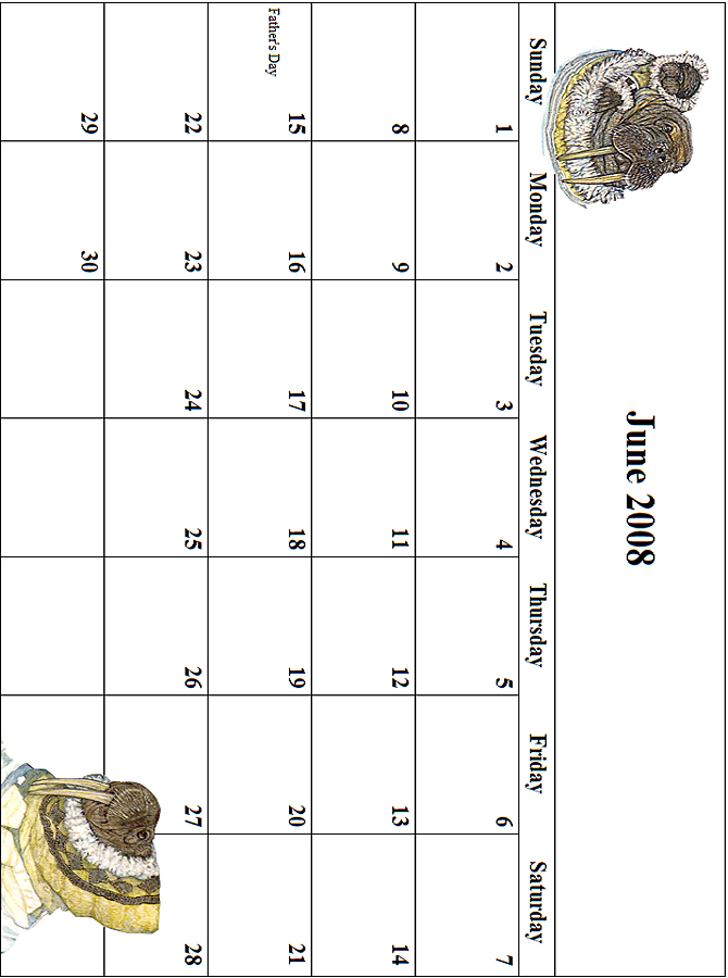 2008 June Calendar Grid