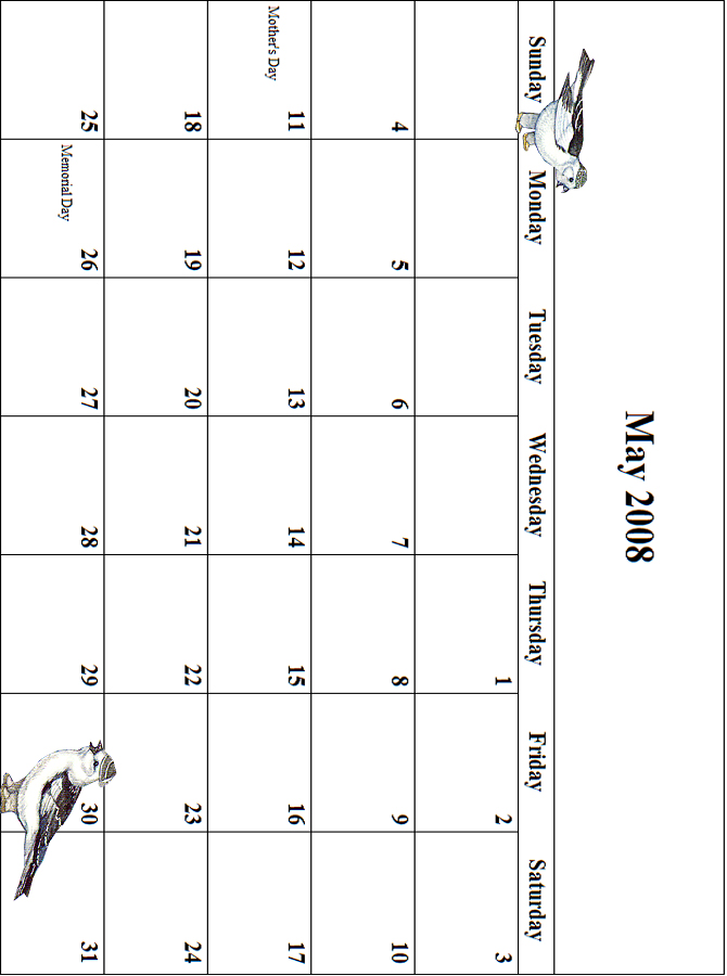 2008 May Calendar Grid