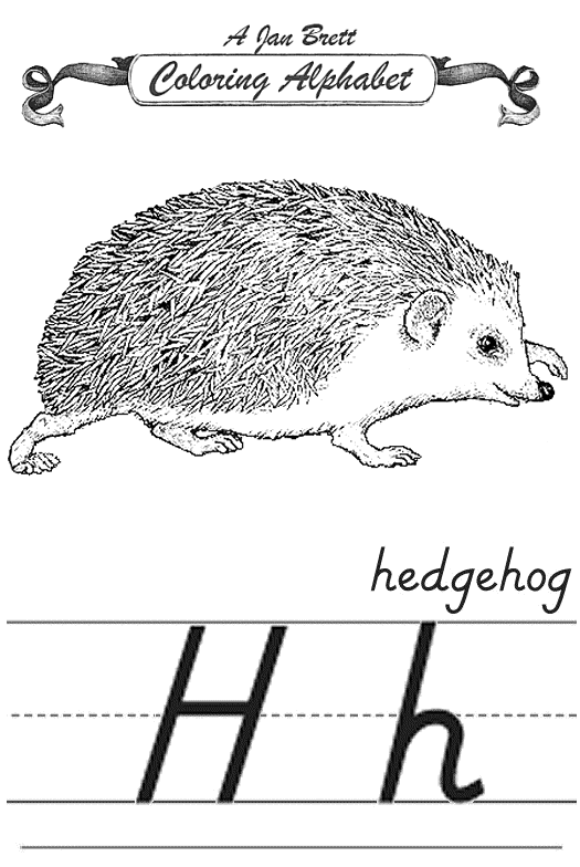 jan brett coloring pages hedgehog baby - photo #10