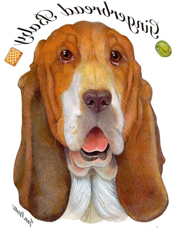 Gingerbread Baby Transfers - The Basset Hound