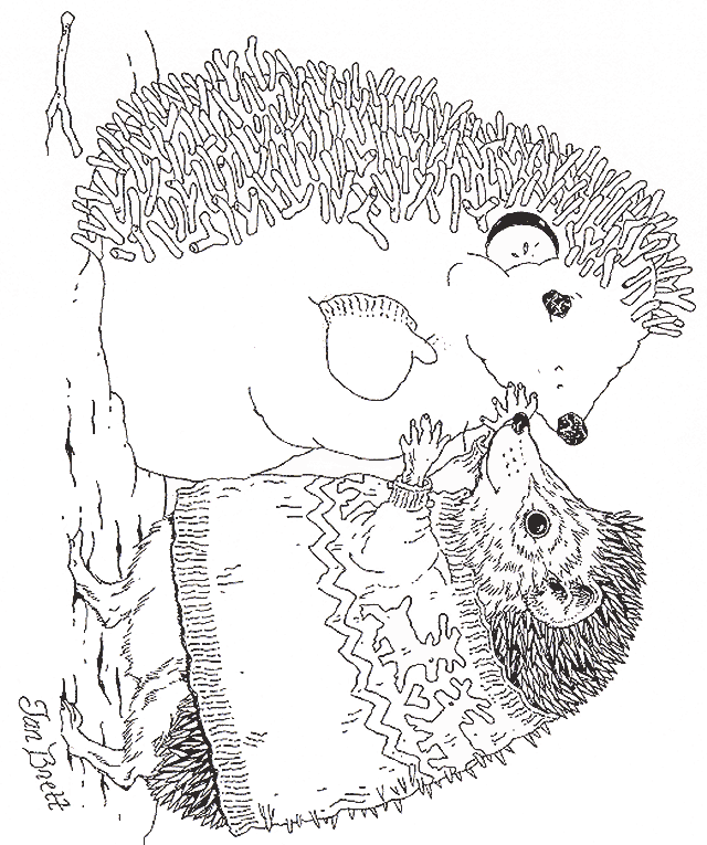 jan brett coloring pages hedgehog baby - photo #14