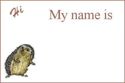 Hedgie Name Tag