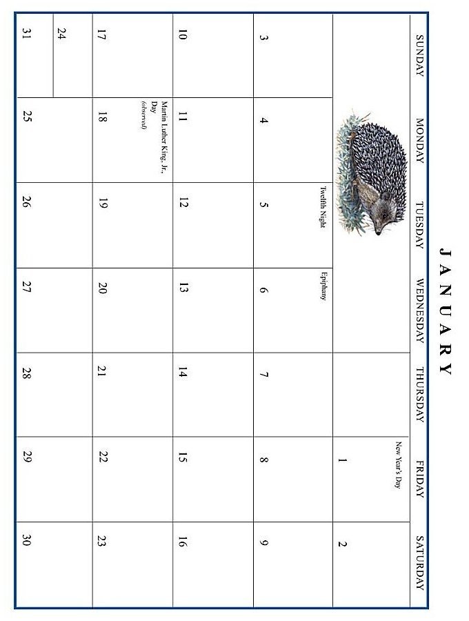Jan Brett 1999 Calendar January grid