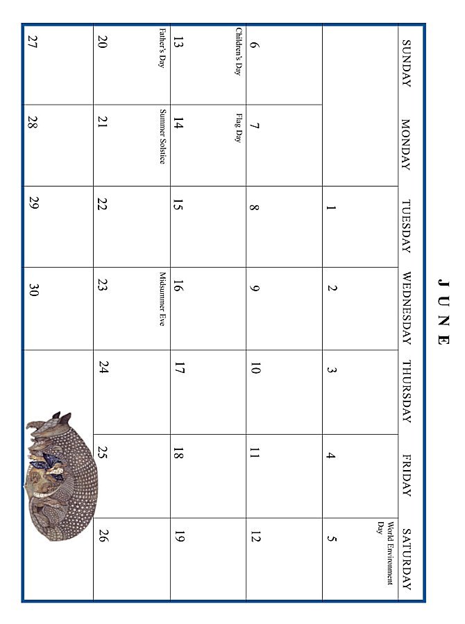 Jan Brett 1999 Calendar - June grid
