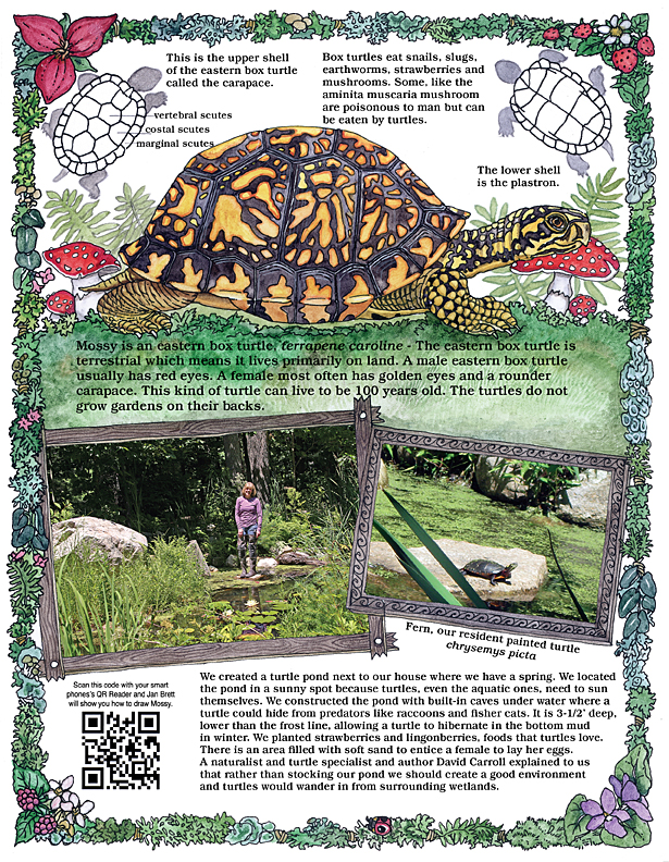 Mossy Newsnotes Page 2
