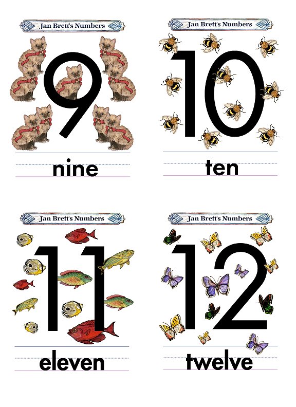 Numbers Flash Cards 9 to 12
