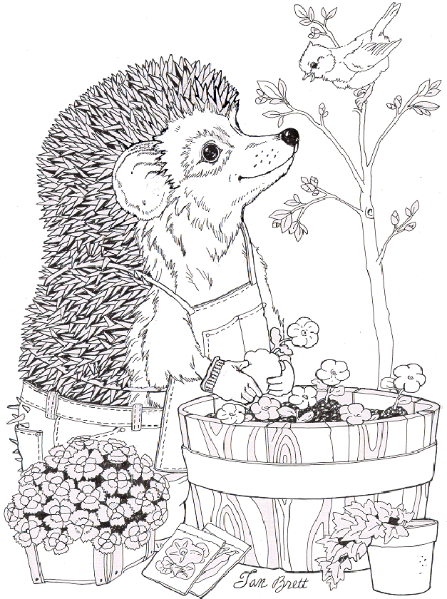 jan brett coloring pages hedgehog baby - photo #6