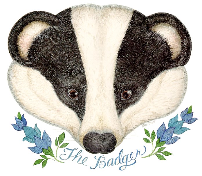 Badger Images