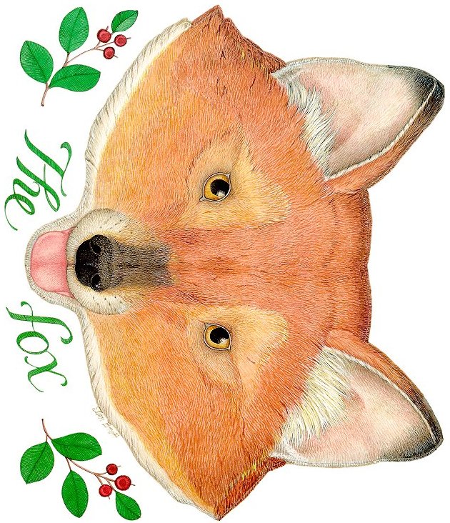 the-fox-mask