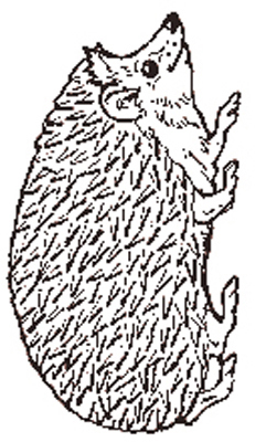 jan brett coloring pages hedgehog baby - photo #24
