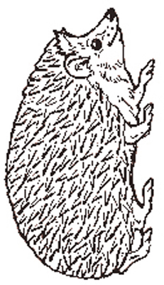 jan brett coloring pages hedgehogs - photo #2