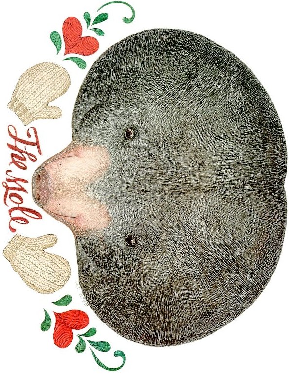 Mole Mask