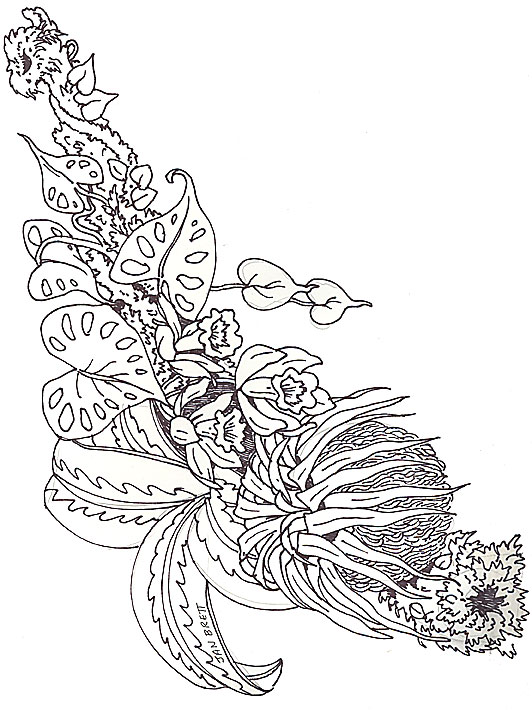 jan brett coloring pages for the umbrella - photo #18