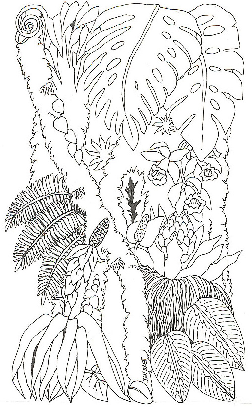 jan brett coloring pages for the umbrella - photo #24