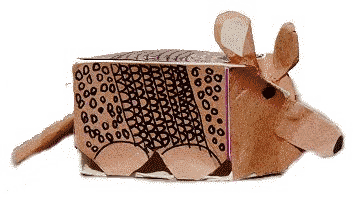 Armadillo Carton Project