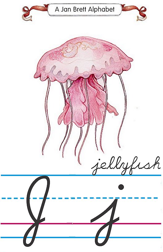 Cursive Alphabet J Jellyfish