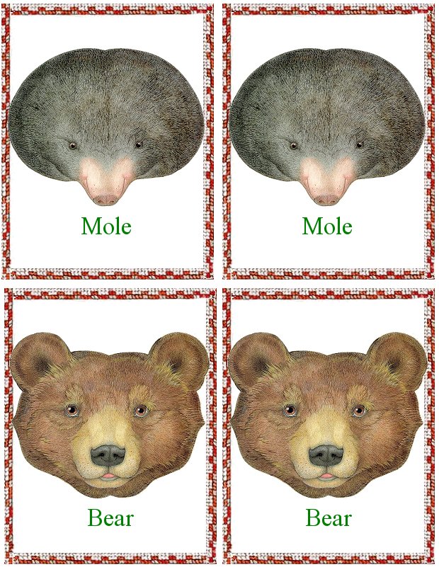 Matching Animals Game mole and bear