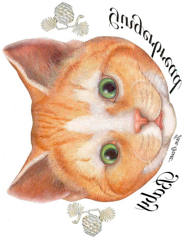 Gingerbread Baby Transfers - The Cat