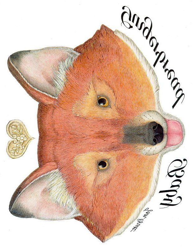 Gingerbread Baby Transfers - The Fox