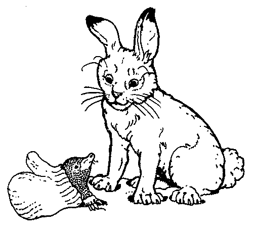 The rabbit from The Mitten coloring page