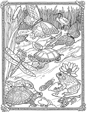 Lilypad Pond Coloring Page