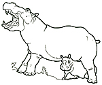 Mural Honey Honey Lion Hippo with Baby