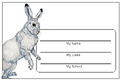 Rabbit Name Tags