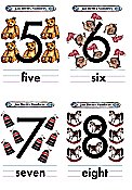Flash Card Numbers 5 to 8