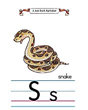 Jan Brett Alphabet Letter S Snake
