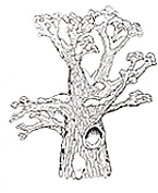 Hollow Tree top small size
