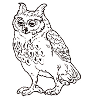 The Owl coloring page
